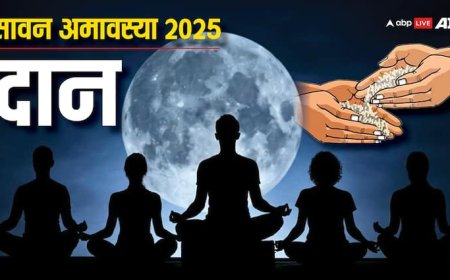 Sawan Amavasya 2025: सावन अमावस्या पर करें इन चीजों का दान, पितरों का मिलेगा आशीर्वाद