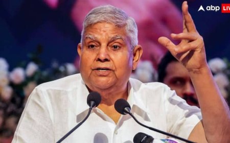 BJP से होगा अगला उपराष्ट्रपति! TDP, JDU सभी साथ, सामने आया अपडेट, जानें कब होगा बड़ा फैसला