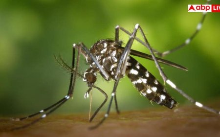 चिकनगुनिया की चपेट में आ सकते हैं दुनिया के पांच अरब लोग, WHO ने दी चेतावनी
