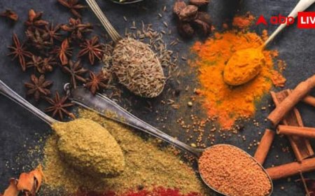 टेस्ट ही नहीं, सेहत का खजाना हैं ये रसोई के मसाले, जानिए पाचन में कैसे करते हैं मदद