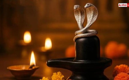 Sawan 2025: शिवलिंग पर चांदी के नाग-नागिन का जोड़ा चढ़ाने से क्या होता है, जानें इसके लाभ
