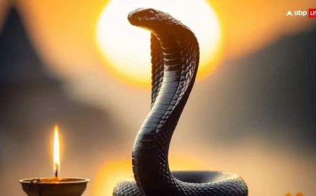Nag Panchami 2025: 42 साल तक रहता है कालसर्प दोष, लेकिन नाग पंचमी पर इन उपायों को करने से टल जाता है बड़ा खतरा!