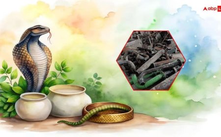 Nag Panchami 2025: नाग पंचमी पर क्यों नहीं करते लोहे की चीजों का इस्तेमाल, जानें क्या है कारण