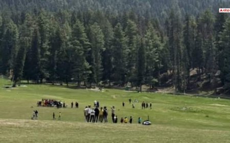 'जाओ, जाकर मोदी को बता देना', पहलगाम में पल्लवी को दी थी आतंकियों ने धमकी, ऑपरेशन महादेव में हुए ढेर