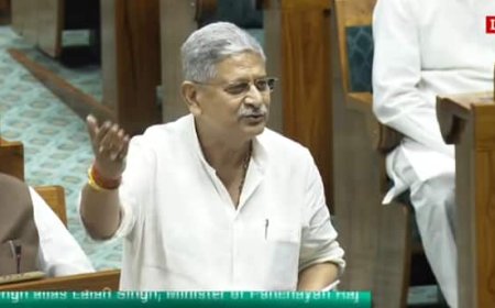 'असली नस पकड़ा गया है, इलाज भी पक्का होगा', संसद में बिहार SIR पर हंगामा करने वाले सांसदों पर ललन सिंह का तंज