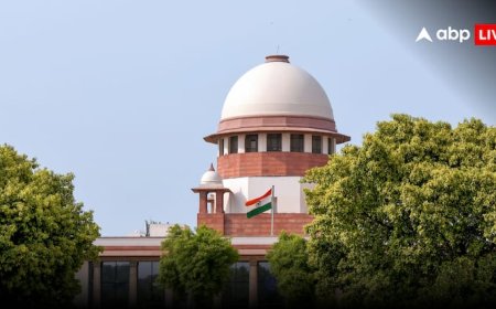 सुप्रीम कोर्ट ने हिमाचल में सेब के बागानों की कटाई पर लगाई रोक! किसानों को मिली राहत, सरकार को चेतावनी