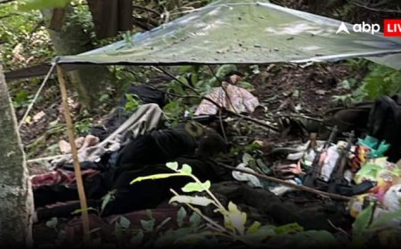 Operation Mahadev: 'दर्द खत्म नहीं होगा, लेकिन अब...', ऑपरेशन महादेव पर बोलीं पहलगाम में मारे गए शुभम द्विवेदी की पत्नी आशन्या