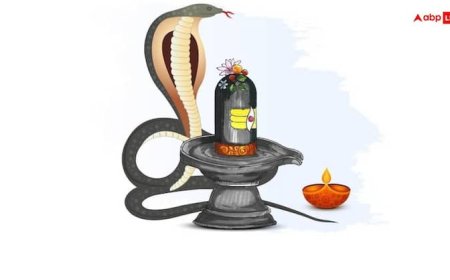 Nag Panchami 2025: विषैले विचारों को दूर करने का अवसर है नागपंचमी, बस इन 5 बातों का रखें ध्यान