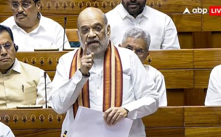 Amit Shah In Lok Sabha: कब और कैसे हुई ऑपरेशन महादेव की प्लानिंग? गृहमंत्री अमित शाह ने लोकसभा में किया खुलासा