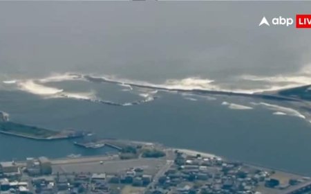 सुनामी के कारण तट के किनारे आ गईं व्हेल, सामने आया VIDEO, जापान में कई लोगों को किया गया रेस्क्यू