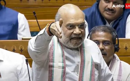 पहलगाम हमले के आतंकी आज ही क्यों मारे गए? विपक्ष ने उठाया था सवाल, अमित शाह ने संसद में ही दिया जवाब