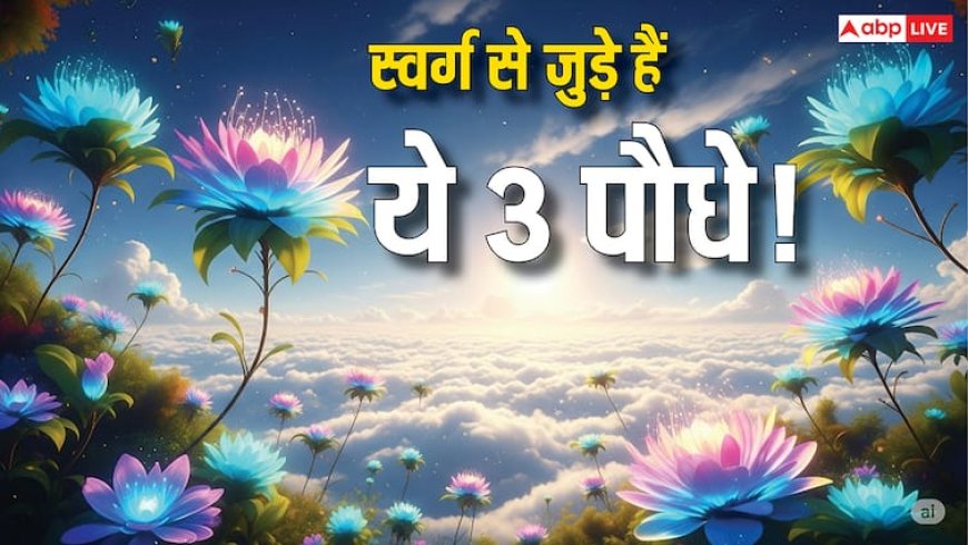 स्वर्ग से आए ये 3 पौधे घर में लगाना शुभ, पाएं मां लक्ष्मी की कृपा और सुख-समृद्धि!