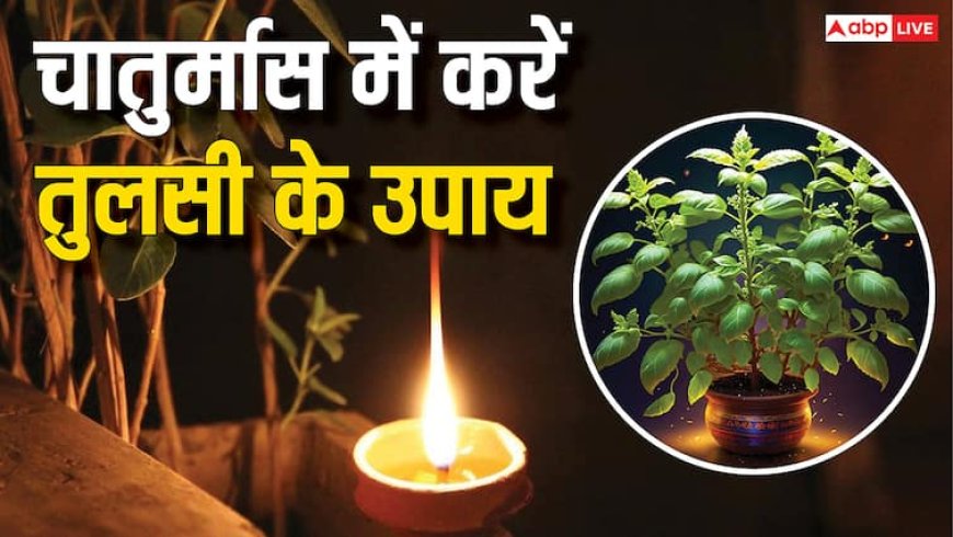 Chaturmas 2025: चातुर्मास में रोजाना तुलसी के पास दीपक जलाने के लाभ जानकर रह जाएंगे हैरान