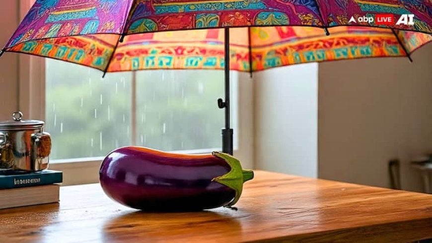 बरसात में बैंगन खाना क्या वाकई होता है खतरनाक? जान लीजिए जवाब