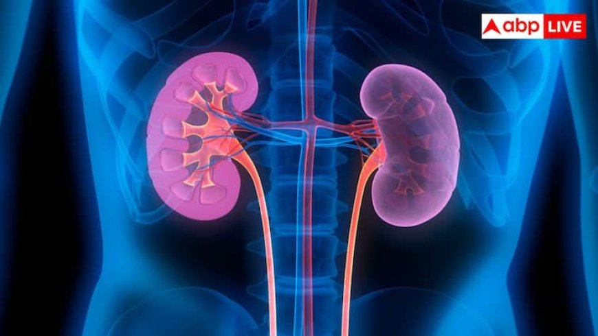 इन 10 आदतों के कारण खतरे में आ जाती है किडनी, कहीं आप तो नहीं करते ये गलतियां?