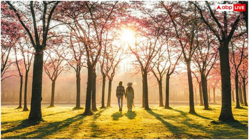 टहलते वक्त ही दिखते हैं हाई कोलेस्ट्रॉल के ये 5 लक्षण, नजर आते ही भागें डॉक्टर के पास