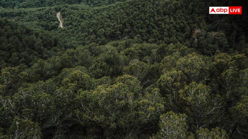 उग्रवादी संगठन उल्फा आई ने शिविरों पर ड्रोन हमले का किया दावा, भारतीय सेना ने किया खारिज