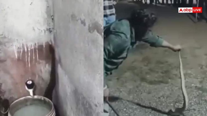 Watch: गर्ल्स होस्टल के बाथरूम में निकला सांप, छात्रों में दहशत, रेस्क्यू का वीडियो वायरल