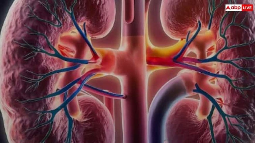 हर रोज पिएं ये हेल्दी ड्रिंक्स, किडनी हमेशा रहेगी फिट और फाइन