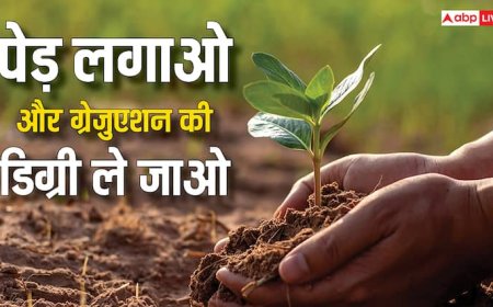 ग्रेजुएशन की डिग्री चाहिए तो यहां लगा दें 10 पेड़, सरकार ने खुद बनाया यह है नियम