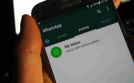 WhatsApp का नया फीचर! अब यूजर को इस चीज का भी मिलेगा नोटीफिकेशन, जानें कैसे करेगा काम