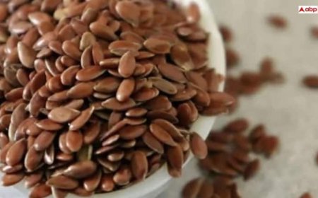 फैट बर्न करने में मददगार अलसी के बीज, जानें कैसे करें सेवन और किन बातों का रखें ध्यान