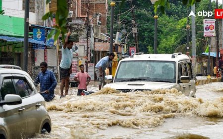 Weather Today: यूपी-बिहार, दिल्ली, राजस्थान...11 अगस्त तक कितनी होगी बारिश? जानें मौसम विभाग की बड़ी चेतावनी