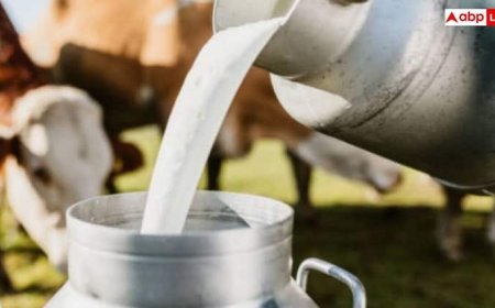 क्या दूध की बिक्री और खपत बढ़ाने से होगा हर वर्ग का लाभ, आम लोगों को कैसे होगा फायदा