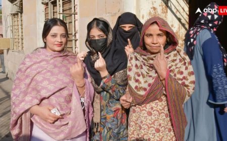 बिहार में BLO को कितनी मिलती है सैलरी, वोटर लिस्ट के अलावा उनके पास क्या-क्या होते हैं काम?