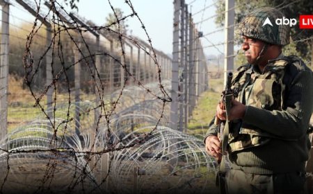 India-Pakistan Border: बौखलाया पाकिस्तान कर रहा भारत की जासूसी? भारतीय सीमा में दाखिल हुआ ड्रोन तो मच गया हड़कंप