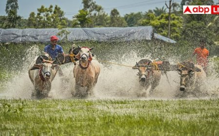 ये हैं भारत के सबसे रहस्यमयी गांव, जहां आने के लिए मरते हैं विदेशी