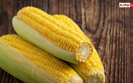 भुट्टे खाना इन 6 लोगों के लिए है घातक, कहीं आप तो नहीं हैं इन में से एक