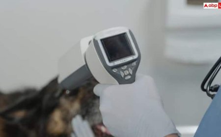 क्या कुत्ते-बिल्ली से अलग होते हैं गाय-भैंस के डॉक्टर, इसकी पढ़ाई करने के बाद कितनी मिलती है सैलरी?