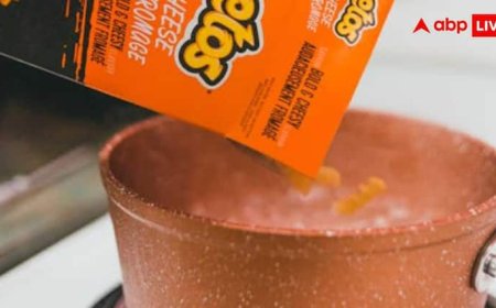 अल्ट्रा प्रोसेस्ड फूड से हो सकती हैं इतनी सारी बीमारियां, जानें कितना बढ़ जाता है मौत का खतरा?