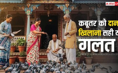 Kabutar ko dana dalne ke labh: कबूतरों को दाना डालने के अद्भुत लाभ! जानिए इसके फायदे और धार्मिक महत्व के बारे में