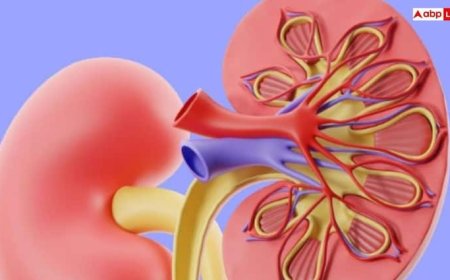 चेहरे पर दिखाई दे ये 6 संकेत समझ जाएं किडनी होने वाली है फेल, तुरंत जाएं अस्पताल