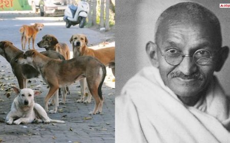'कम पाप को चुनना पड़ेगा, ताकि बड़े पाप से बच सकें', 60 आवारा कुत्तों को जान से मारने की बात पर क्यों ऐसा बोले थे महात्मा गांधी?