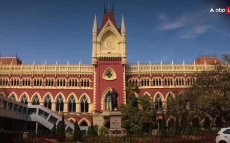 राजस्थान से बांग्लादेश भेजे गए मजदूर आमिर शेख की वापसी, BSF ने कोर्ट में कहा- 'गलती से पार की थी सीमा'