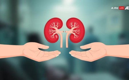 आपकी किडनी ठीक काम कर रही है या नहीं, ऐसे कर सकते हैं पहचान