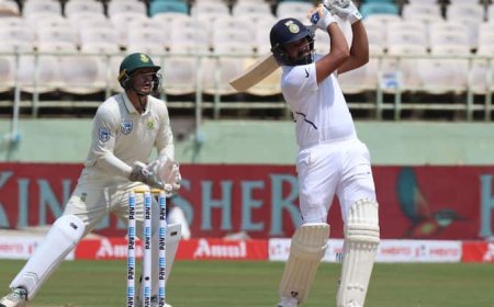 एक टेस्ट मैच में सबसे ज्यादा छक्के लगाने का रिकॉर्ड किस बल्लेबाज के नाम है? ये भारतीय बना चुका है गिनीज वर्ल्ड रिकॉर्ड