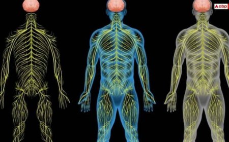 नसों में ब्लॉकेज होने पर दिखते हैं ये 6 लक्षण, इन नुस्खों से तुरंत पाएं आराम