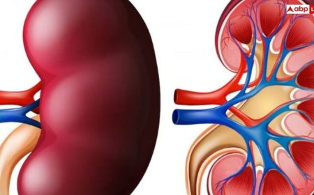 किडनी में सूजन की ओर इशारा करते हैं शरीर में दिखने वाले ये 6 संकेत, तुरंत जाएं डॉक्टर के पास