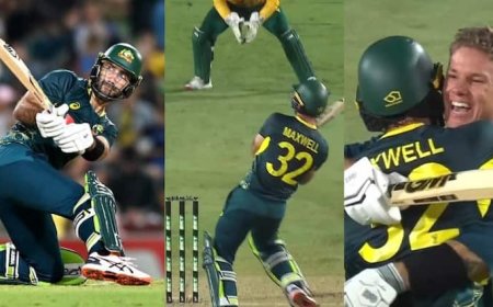 ग्लेन मैक्सवेल बनें वन मैन आर्मी, अकेले ऑस्ट्रेलिया को जिताई हारी हुई बाजी; 2 विकेट से मिली जीत