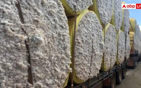 देश के टेक्सटाइल इंडस्ट्री में खुशी की लहर, कपास पर इम्पोर्ट ड्यूटी 42 दिन के लिए हटा