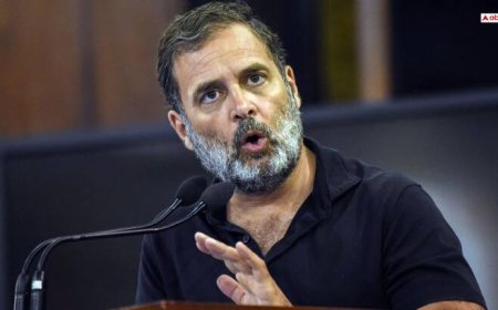 'आखिर कहां छिपे हैं पूर्व उपराष्ट्रपति? बाहर आकर एक शब्द भी नहीं बोल सकते', जगदीप धनखड़ को लेकर क्या बोले राहुल गांधी?