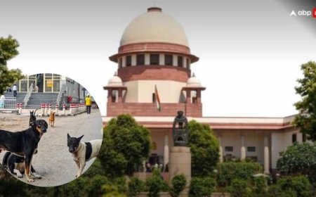 'शेल्टर होम में नहीं रख सकते, जहां से उठाया, वहीं छोड़ें', आवारा कुत्तों के मामले पर सुप्रीम कोर्ट का बड़ा फैसला