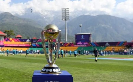 2027 वनडे वर्ल्ड कप पर बहुत बड़ा एलान, जानें कहां खेले जाएंगे सारे मैच