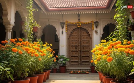 Vastu Tips: वास्तु के अनुसार घर में गेंदे के फूल को सही दिशा में लगाएं, धन-समृद्धि और खुशहाली पाएं!