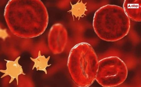 डेंगू होने पर कब पड़ती है प्लेटलेट्स की जरूरत, कब तक कर सकते हैं इंतजार?