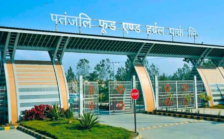 पतंजलि का पैकेजिंग मॉडल कैसे बन रहा है उद्योग में गेम-चेंजर? जानिए